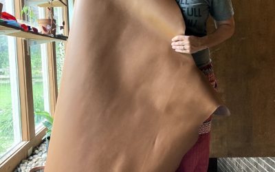 A full-grain leather hide